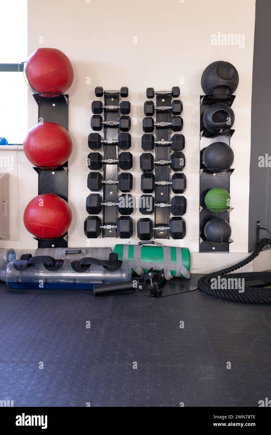 A gym wall is equipped with neatly organized dumbbells, medicine balls, and resistance bands Stock Photo