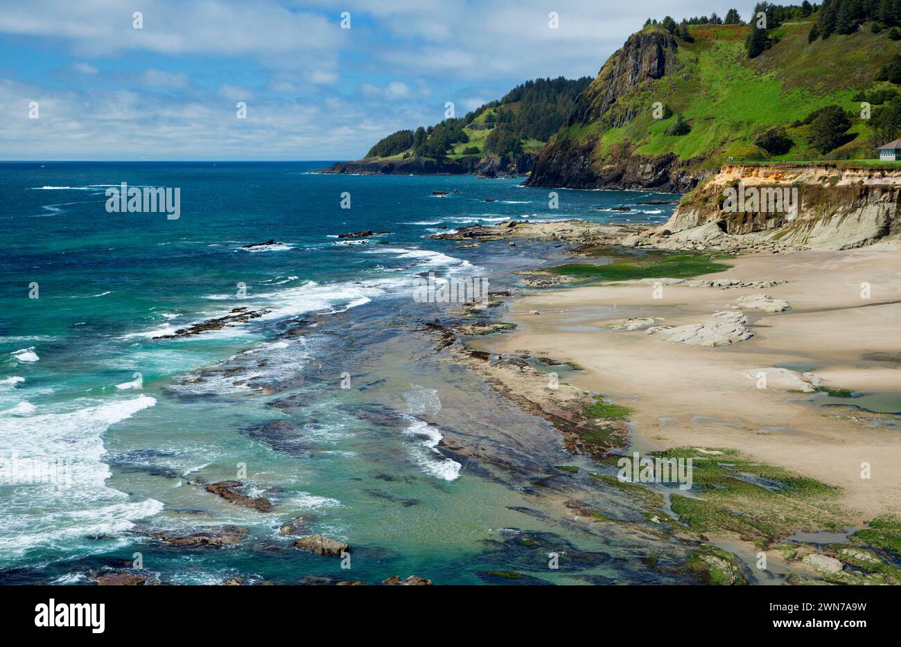 Marine Gardens, Devils Punchbowl State Park, Otter Crest, Oregon Stock