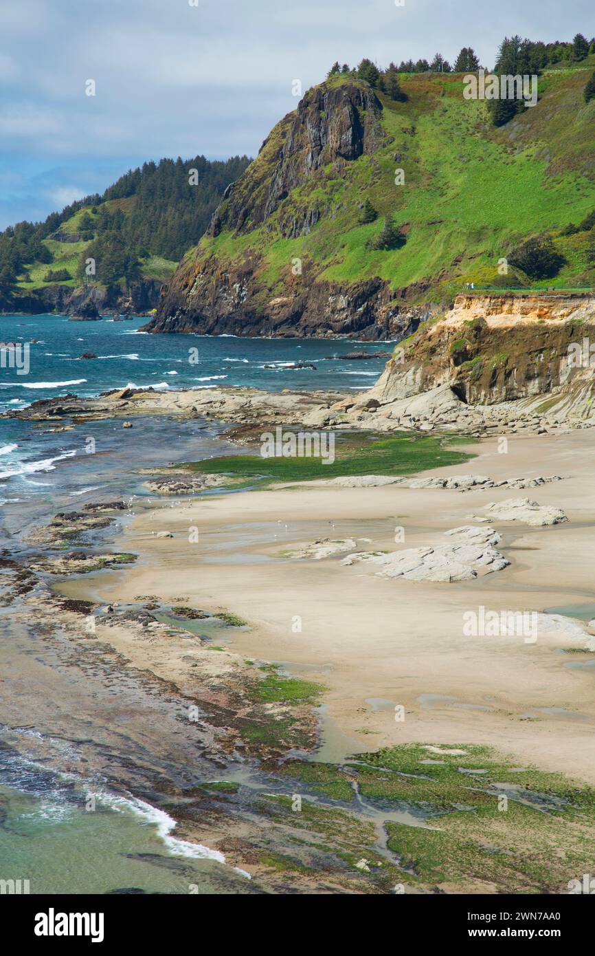 Marine Gardens, Devils Punchbowl State Park, Otter Crest, Oregon Stock
