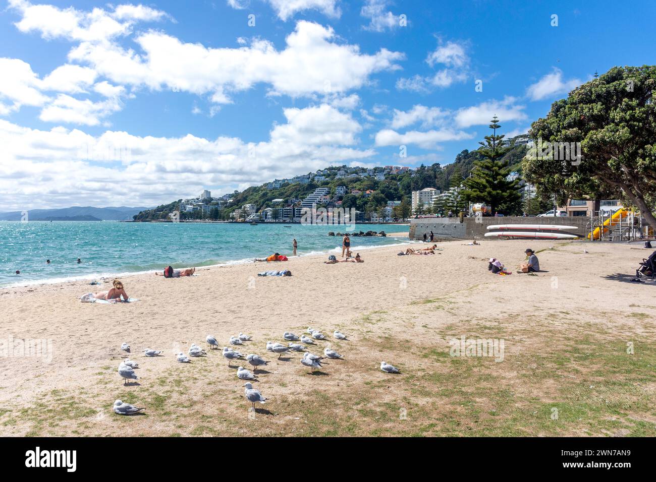 Freyberg Beach, Oriental Bay, Wellington, New Zealand Stock Photo