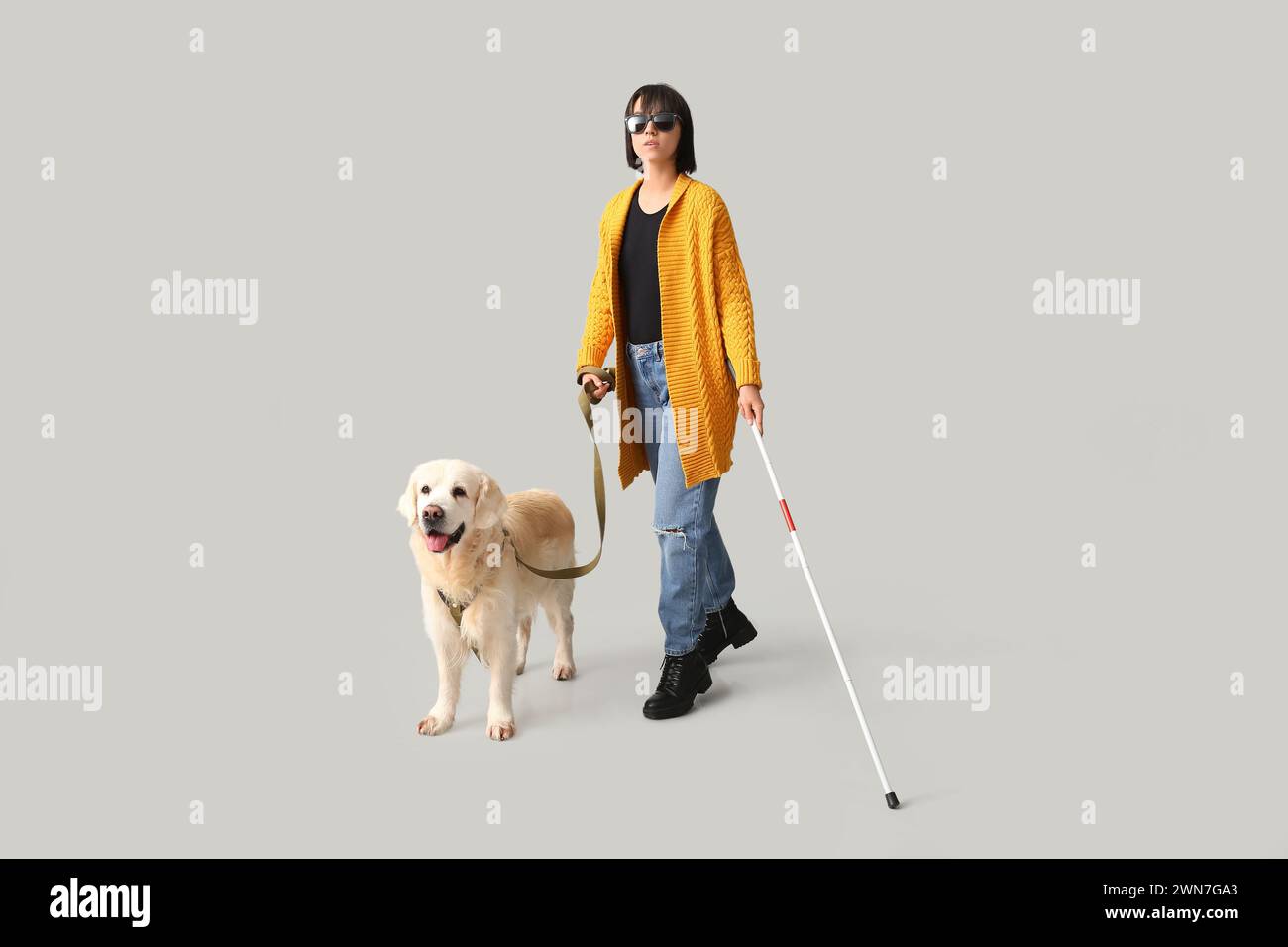 Blind woman with guide dog on grey background Stock Photo - Alamy