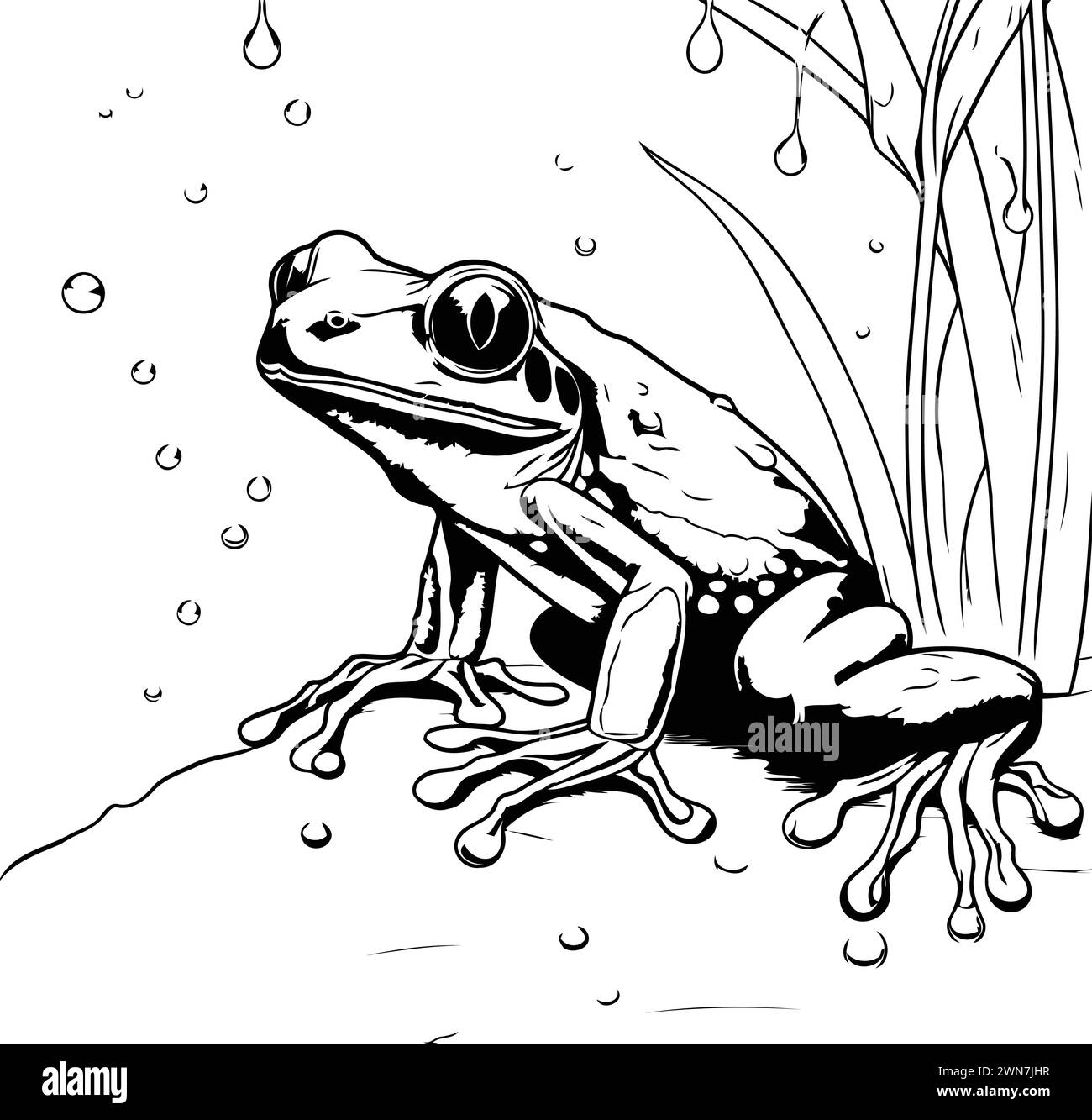 illustration of a frog sitting on a rock in the pond Stock Vector Image