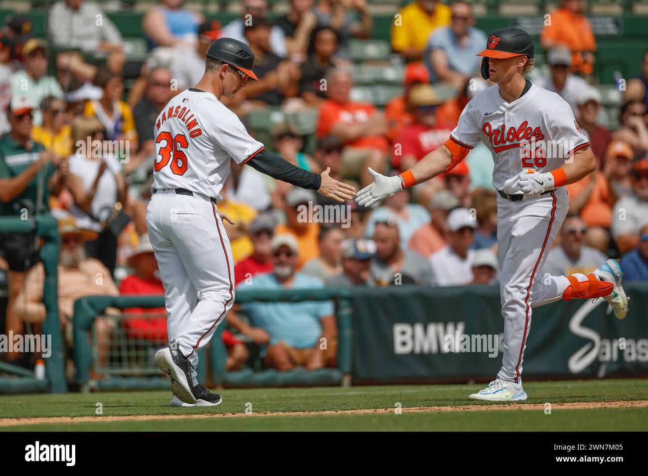 Sarasota FL USA; Baltimore Orioles left fielder Kyle Stowers (28) homers to right field during an MLB spring training game against the Pittsburgh Pira Stock Photo