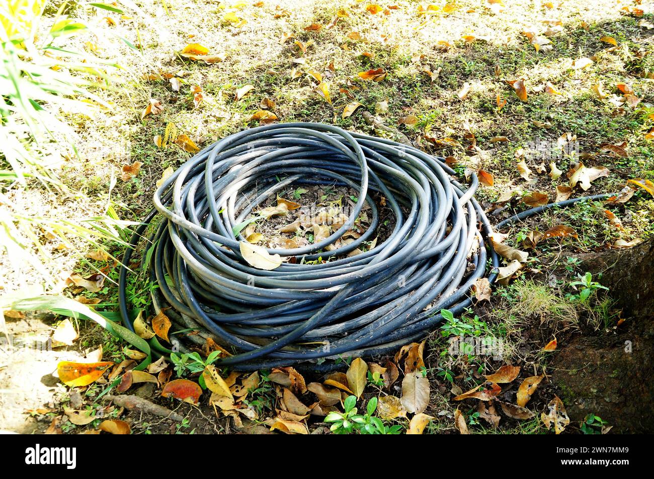 Rolled long garden hose on ground Stock Photo