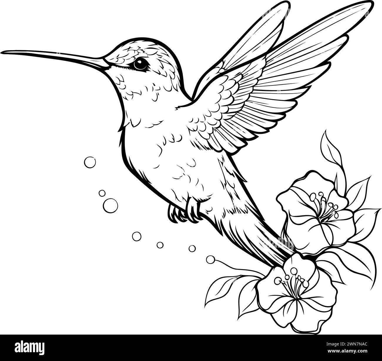 Hummingbird with flowers. Coloring book for adults. Vector illustration ...