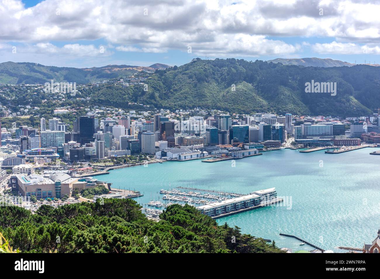 City and harbour view from Mt Victoria Lookout, Wellington, New Zealand Stock Photo