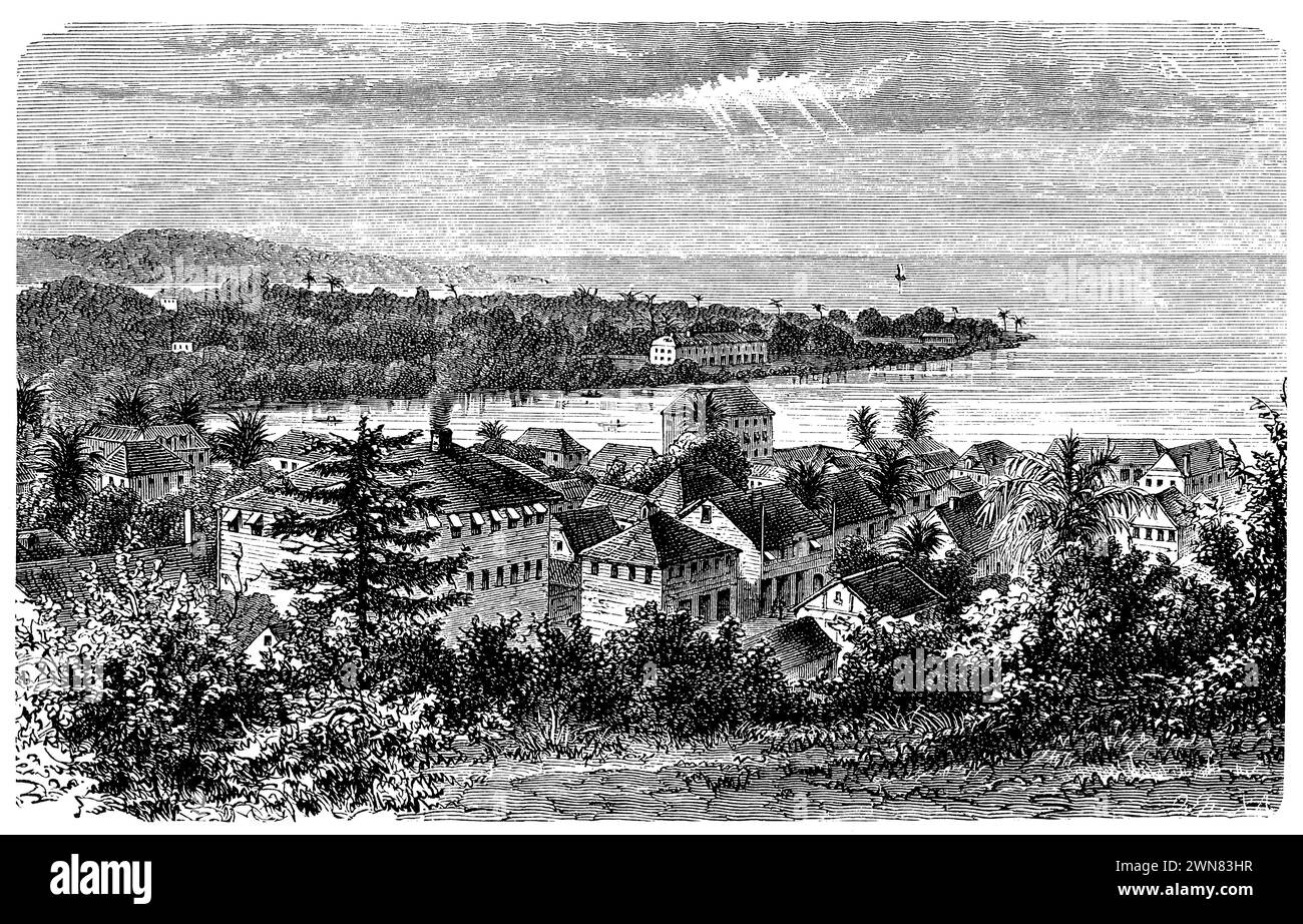 Landscape in Upper Guinea (Freetown), ,  (encyclopedia, 1893), Landschaft in Oberguinea (Freetown), Paysage en Haute-Guinée (Freetown). Stock Photo
