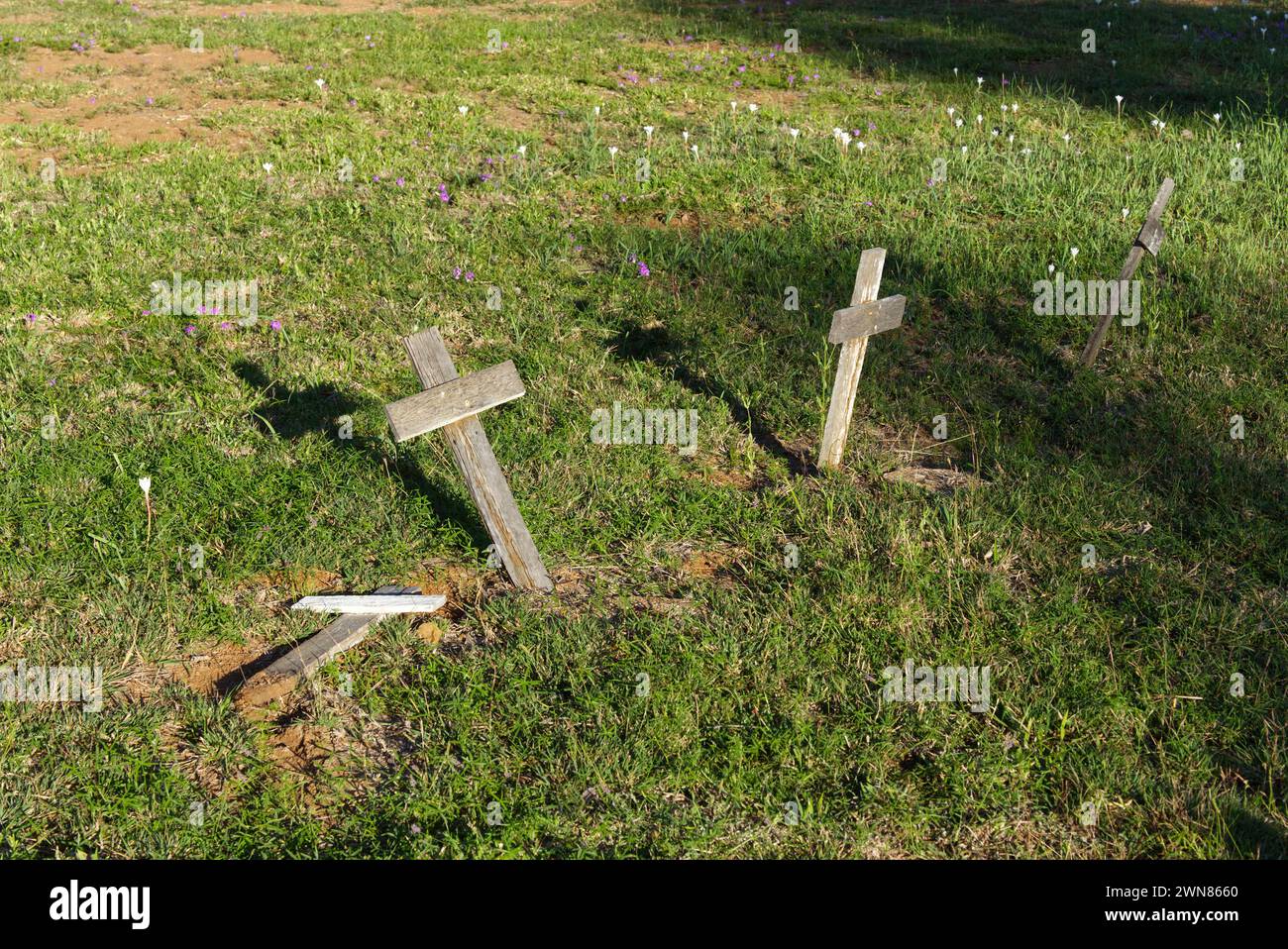 Cemetery with unmarked children's graves Cracow Queensland Australia Stock Photo