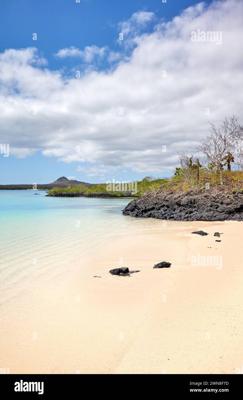 Pristine beach on an uninhabited island, Galapagos Islands, Ecuador. Stock Photo