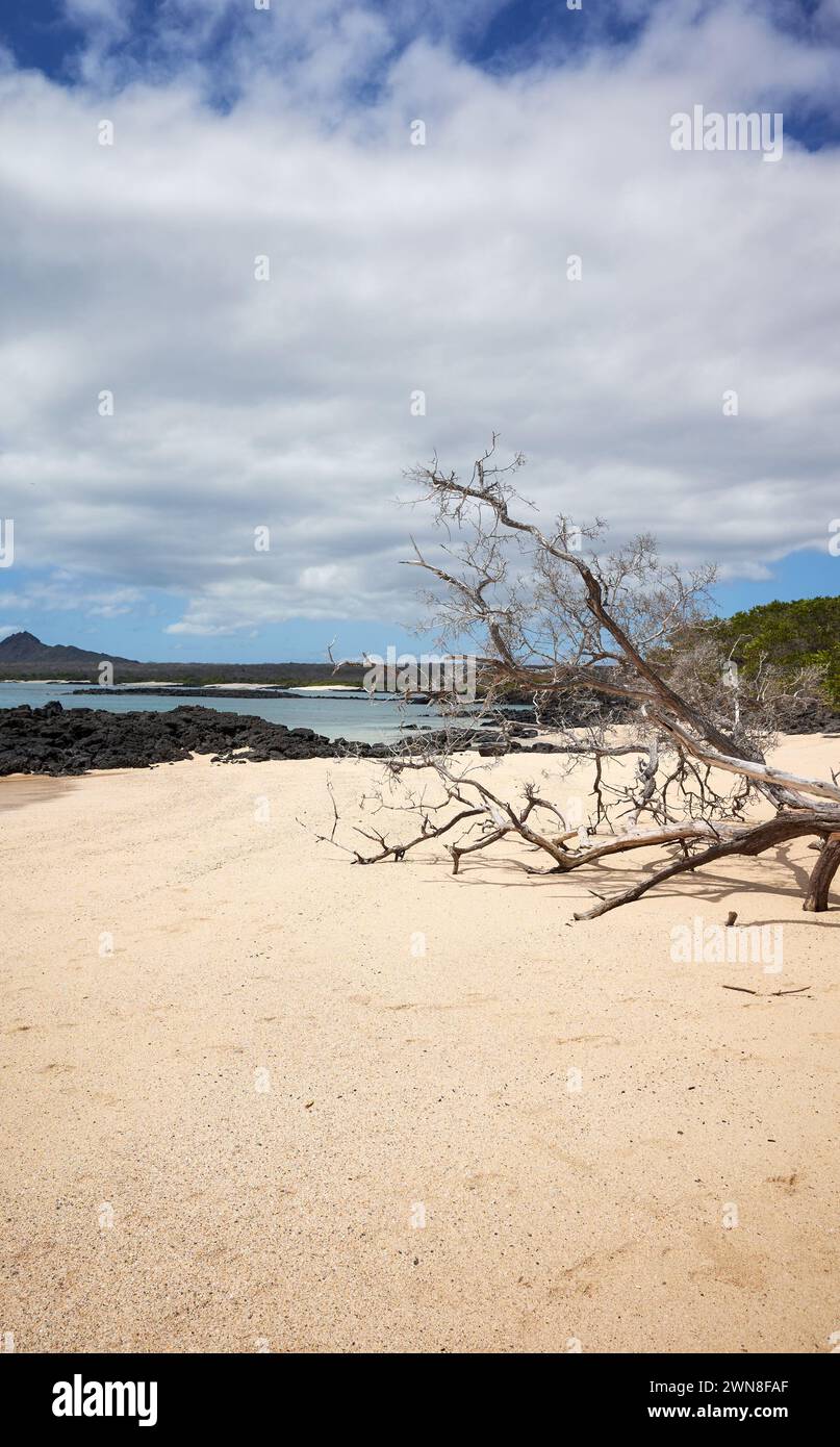 Beach on a beautiful uninhabited island, Galapagos National Park, Ecuador. Stock Photo