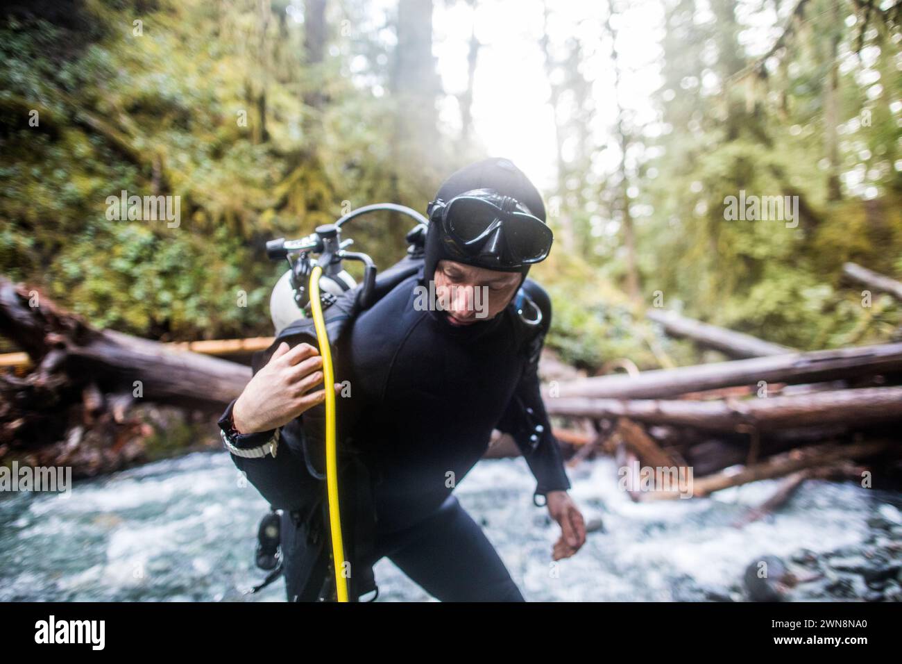 Suba diver puts on BCD, air tank and equipment Stock Photo