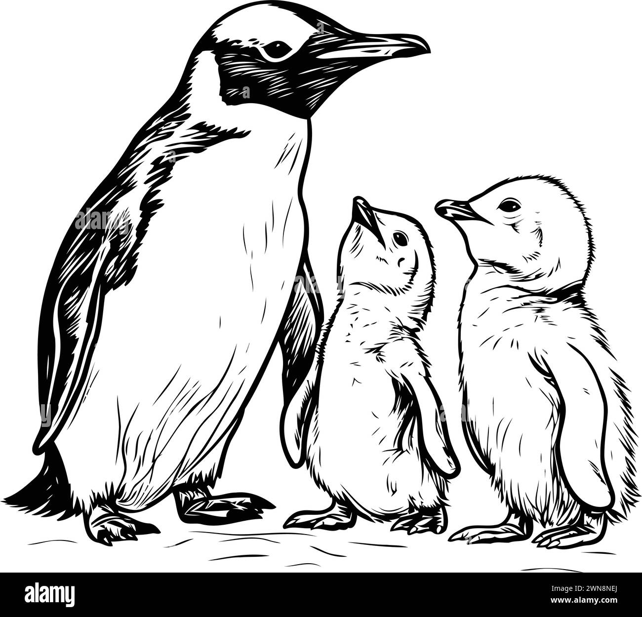 Penguin family with chick. Black and white vector illustration Stock