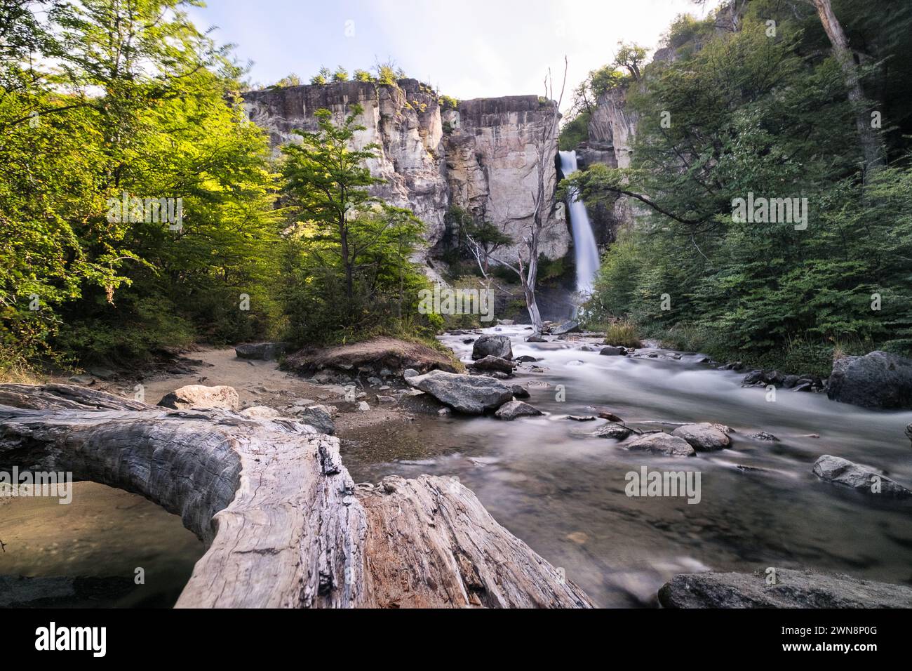 'Chorrillo del Salto' waterfall on the outskirts of El Chaltén Stock Photo
