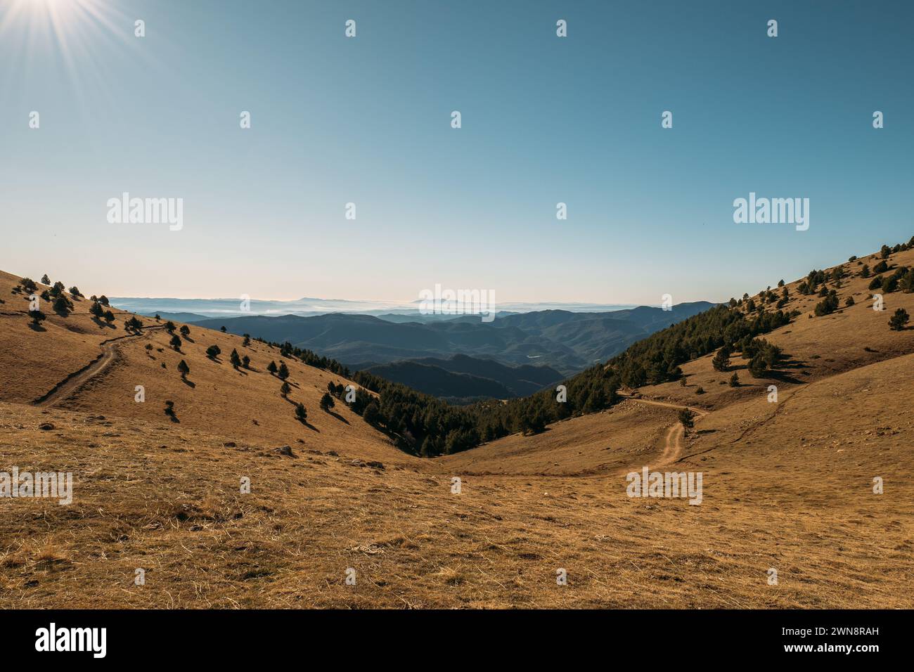 Harsh shadows hi-res stock photography and images - Alamy