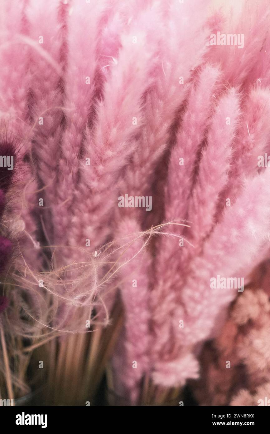 A closeup of pink floral and feather decor Stock Photo