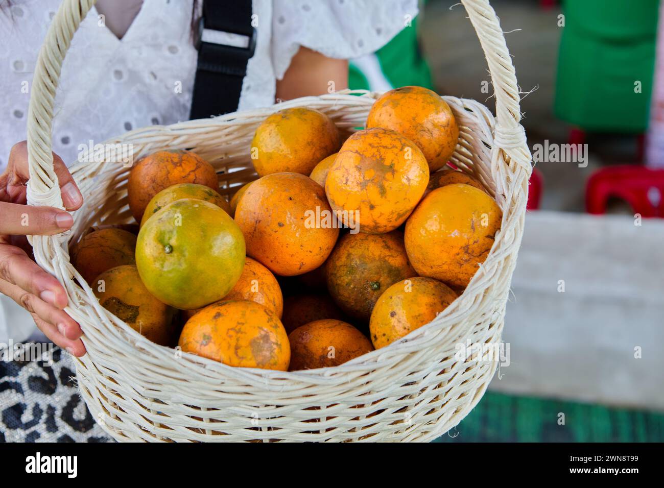 cropped hand of woman holding orange fruit in basket Stock Photo