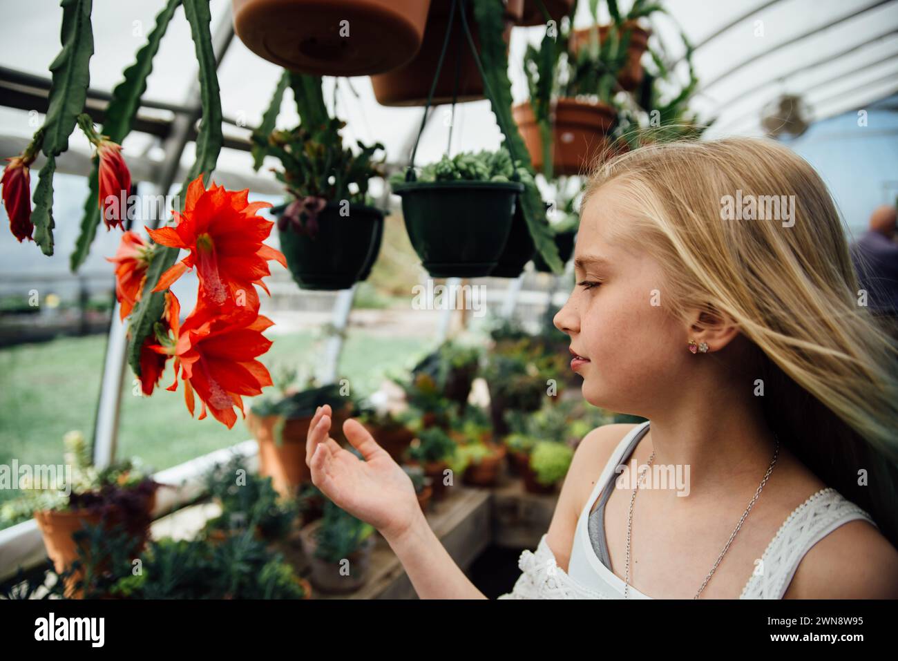 Girl teen reaching hi-res stock photography and images - Alamy