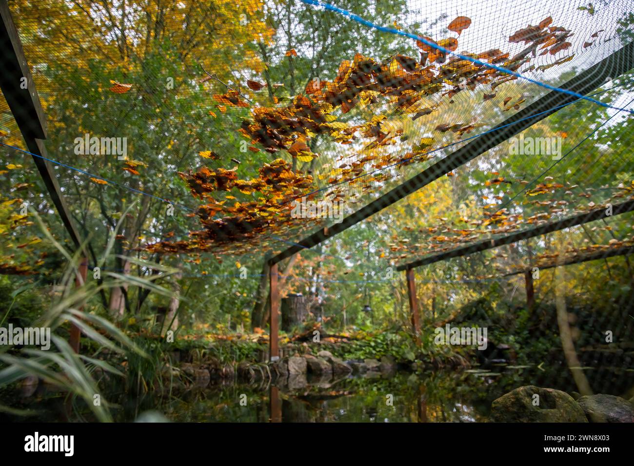 Teich garten hires stock photography and images Alamy