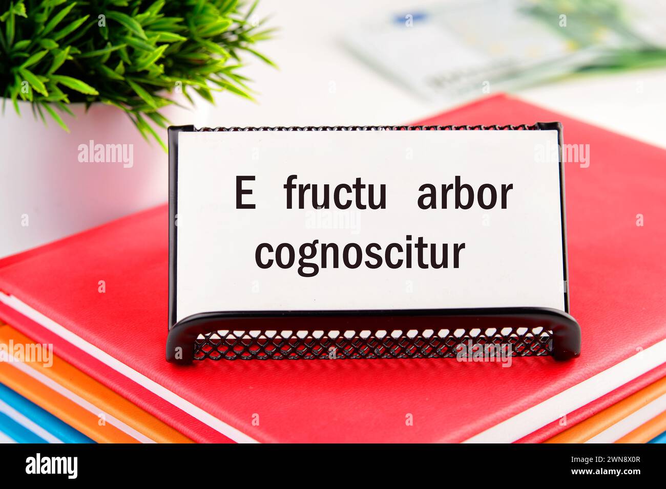 E fructu arbor cognoscitur the phrase in Latin translates as the Tree is known by its fruits on white business cards in delivery on a light background Stock Photo