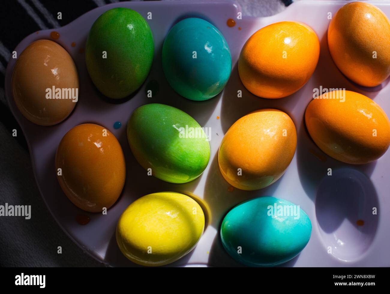 Brightly colored eggs on tray in sunlight Stock Photo