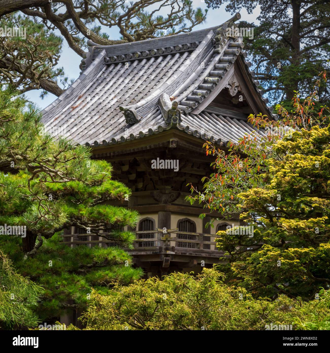 Lush vegetation and colourful architecture of the Japanese Tea Garden in Golden Gate Park, San Francisco, California. Stock Photo