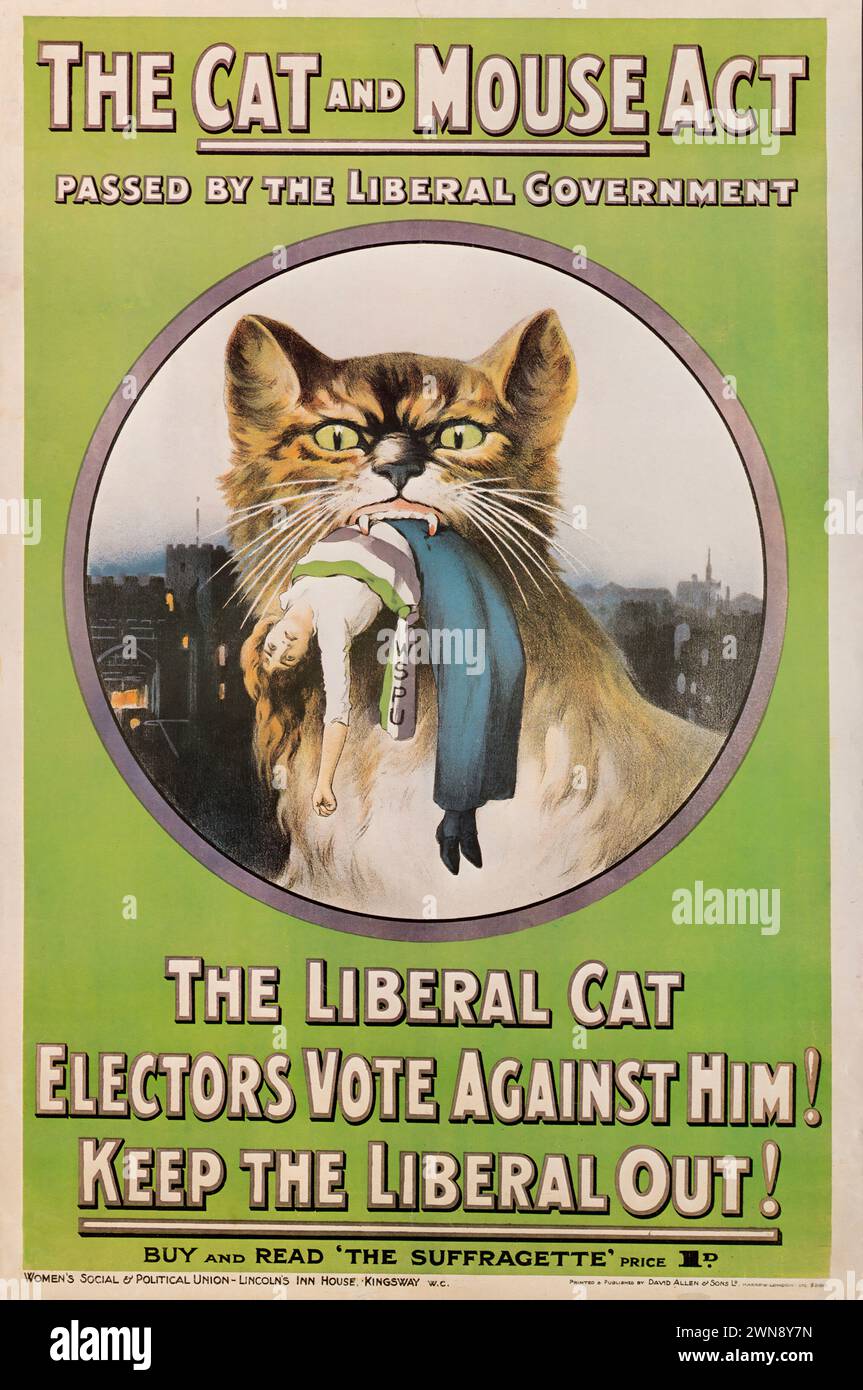The Cat And Mouse Act