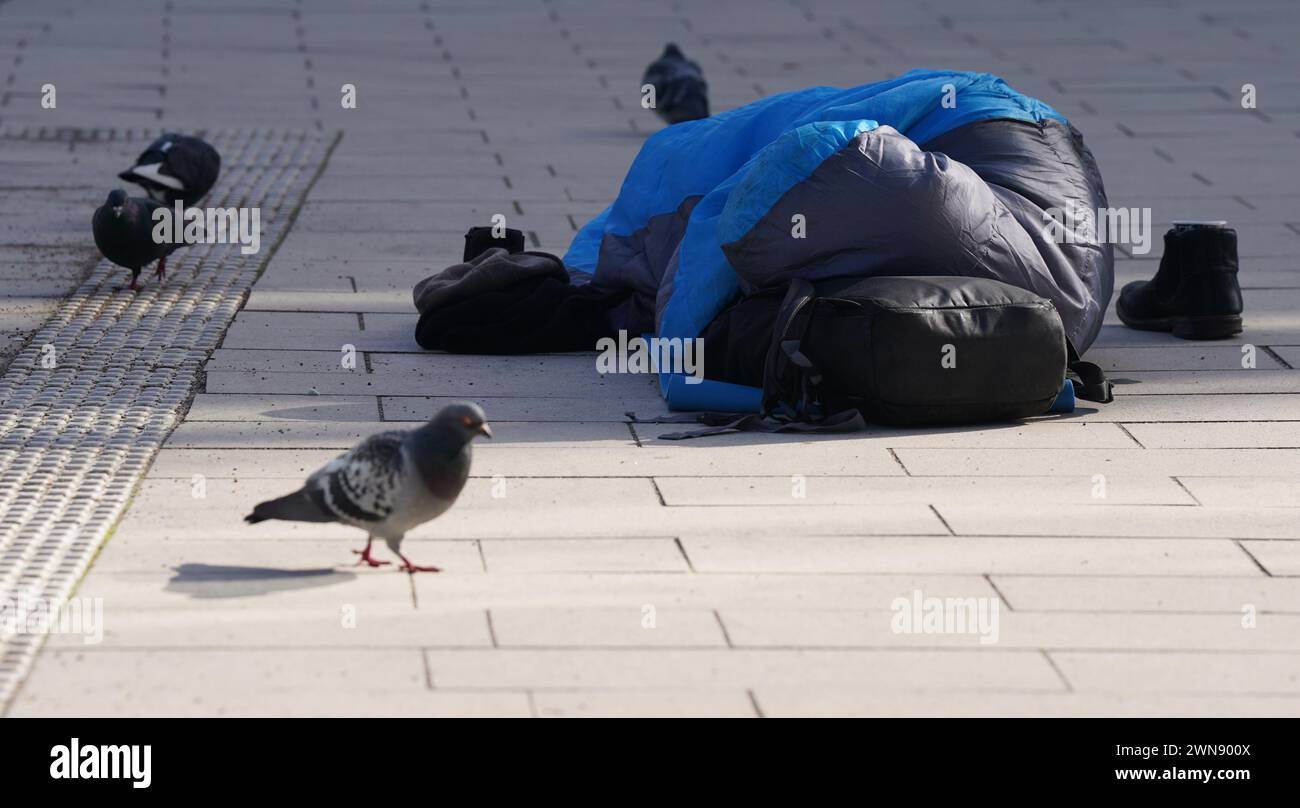 Hamburg, Germany. 01st Mar, 2024. A homeless man lies in his sleeping bag in the city center while several pigeons walk around him. Credit: Marcus Brandt/dpa/Alamy Live News Stock Photo