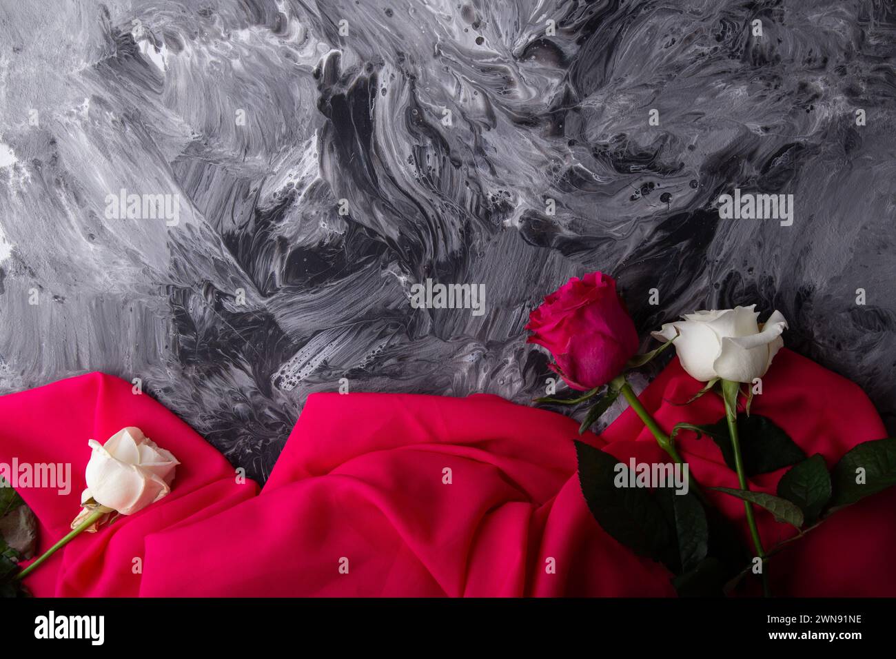Vibrant roses lying on a textured abstract grey background draped in pink. Stock Photo