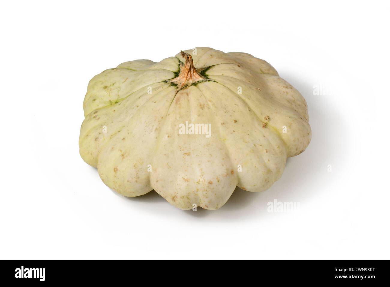 Pattypan squash with round and shallow shape and scalloped edges on white background Stock Photo
