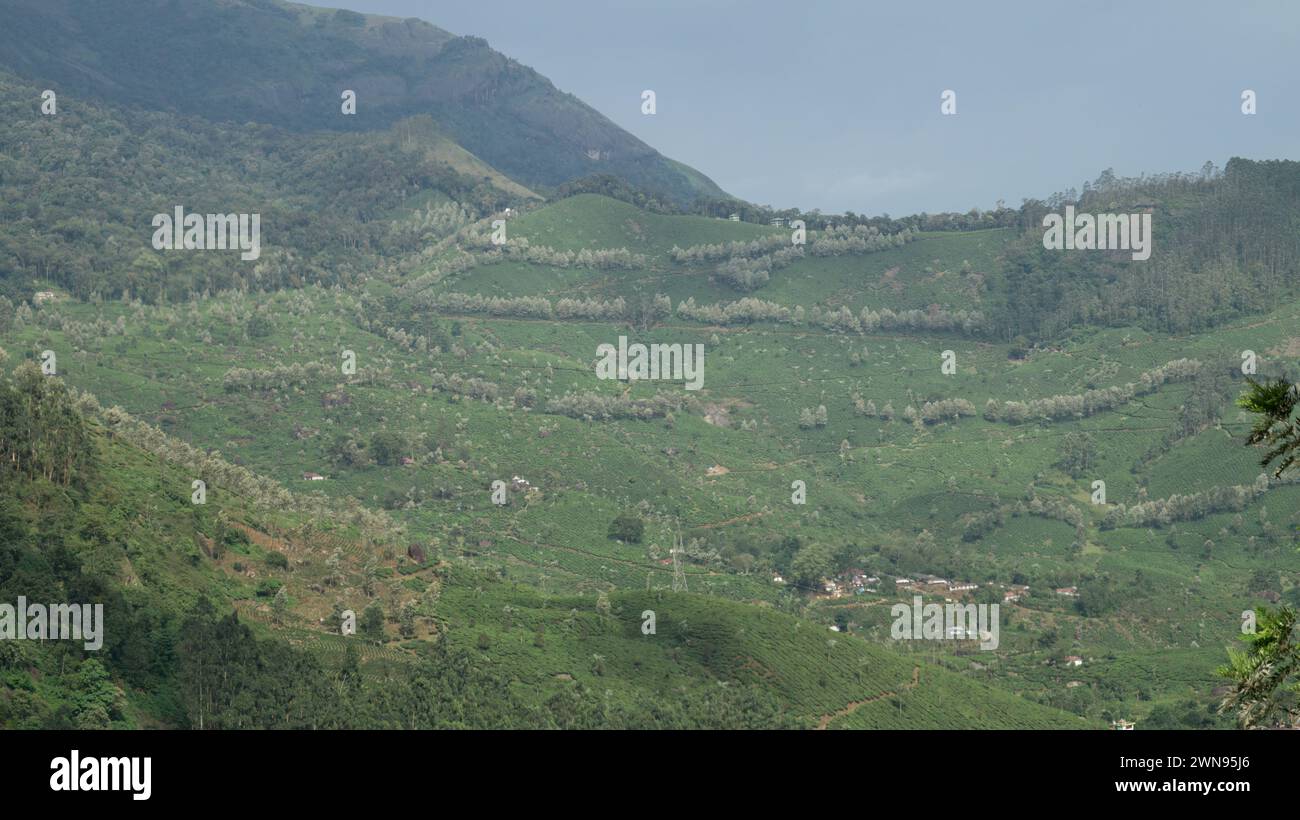 Sakhteman, Poldasht photo 2