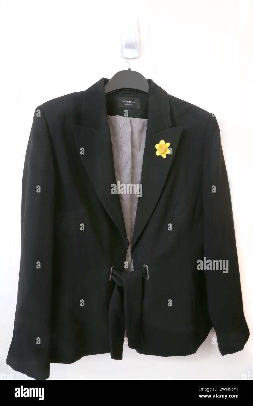 Woman's Blazer Jacket with Tie Up Front and Silver Lining and Marie Curie Daffodil Pin Stock Photo