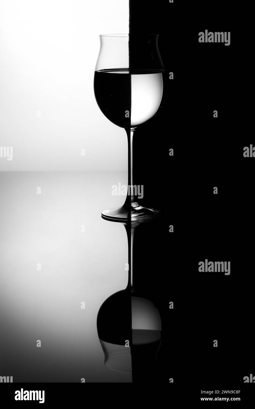 Elegant Wine Glass In Black And White With Strong Reflection And Contrast Wine Glass Stock 7622