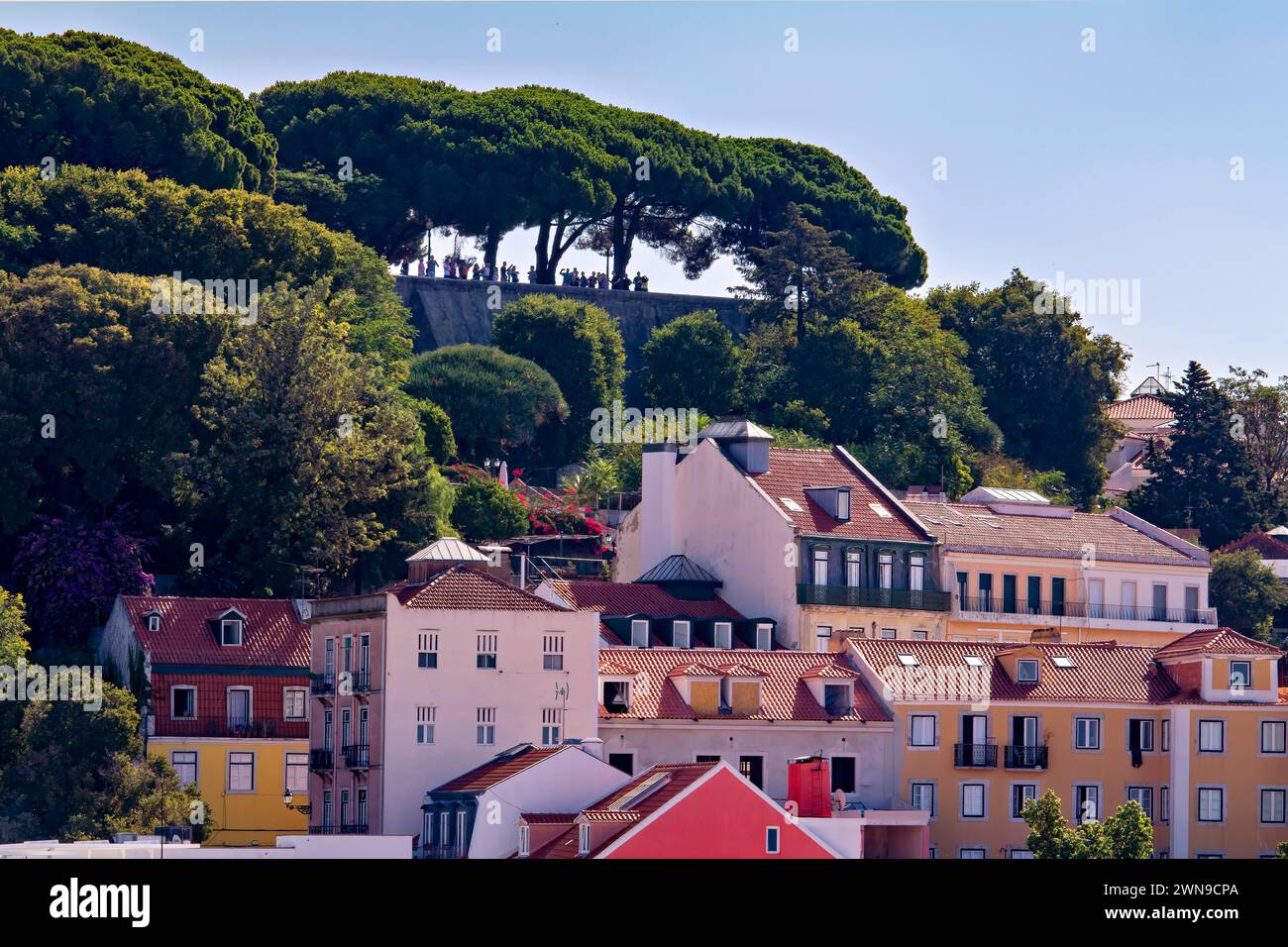 Colorful buildings under a canopy of green trees against a blue sky, Lisbon Stock Photo