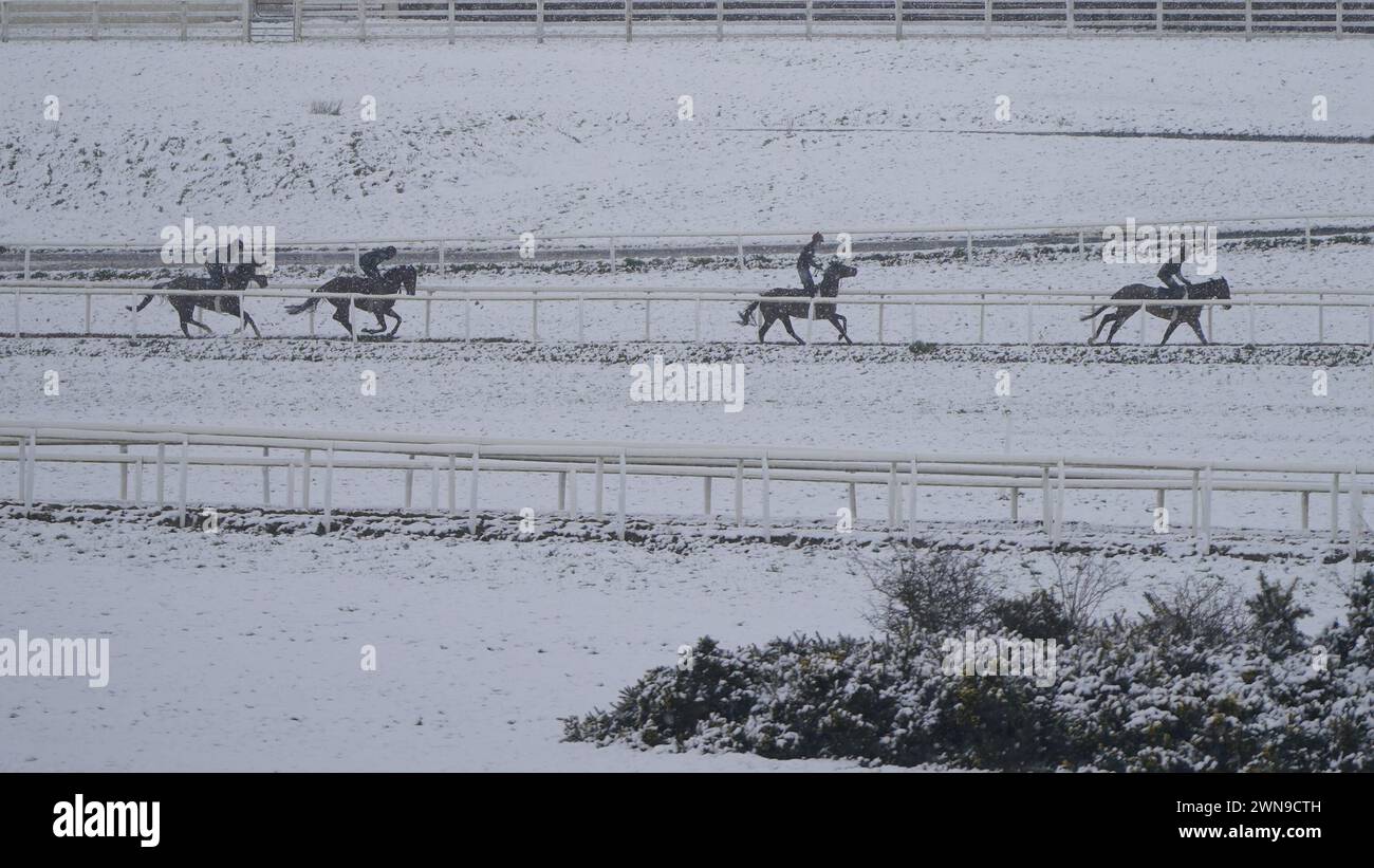 Horses on the gallops at the Curragh racecourse, Co. Kildare. Falling sleet and snow in parts of Ireland have led to some travel disruption. The Irish weather agency Met Eireann issued weather warnings for more than a dozen counties on Friday morning. Picture date: Friday March 1, 2024. Stock Photo