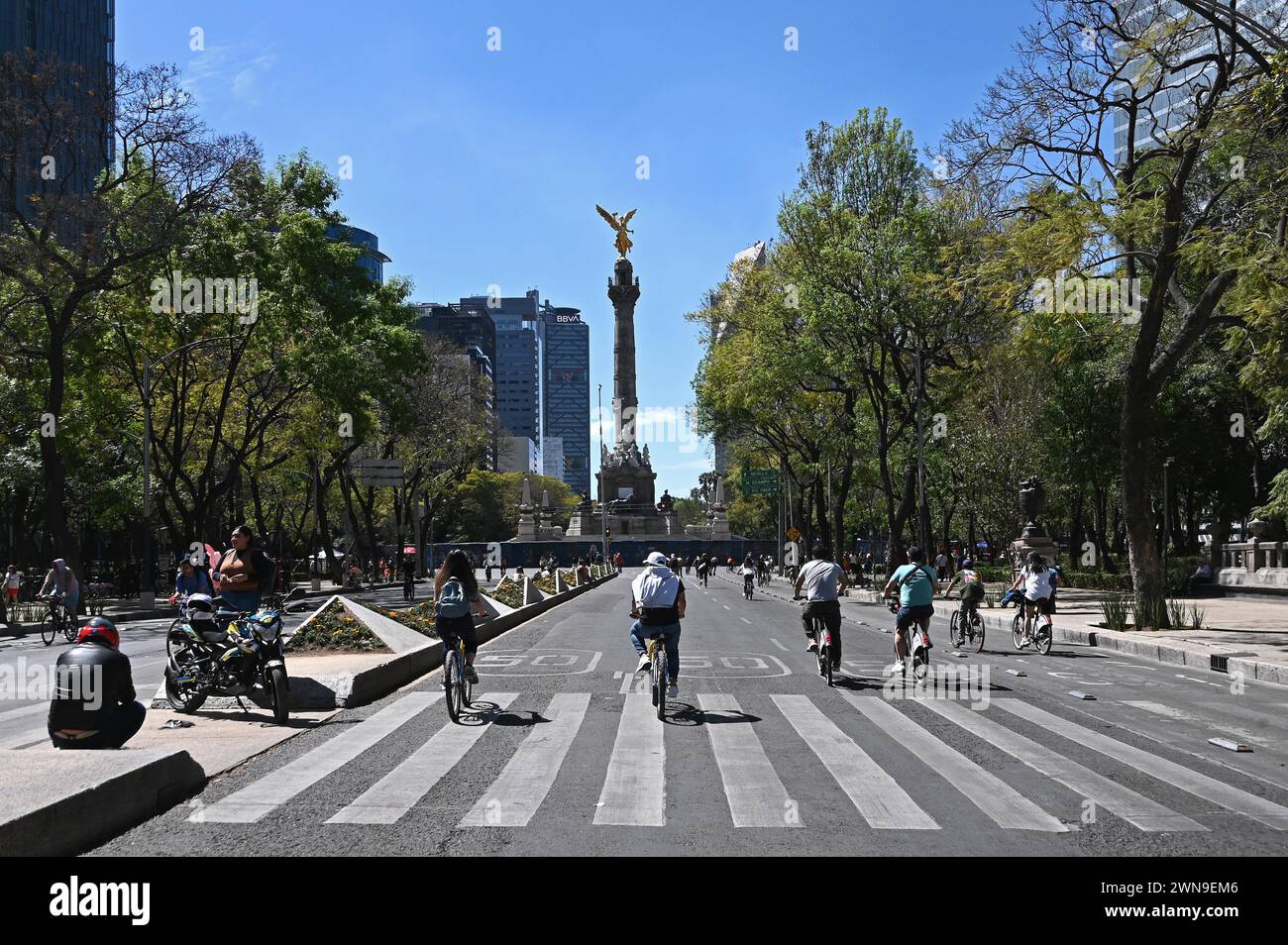 Reforma mexico city cycle hi-res stock photography and images - Alamy