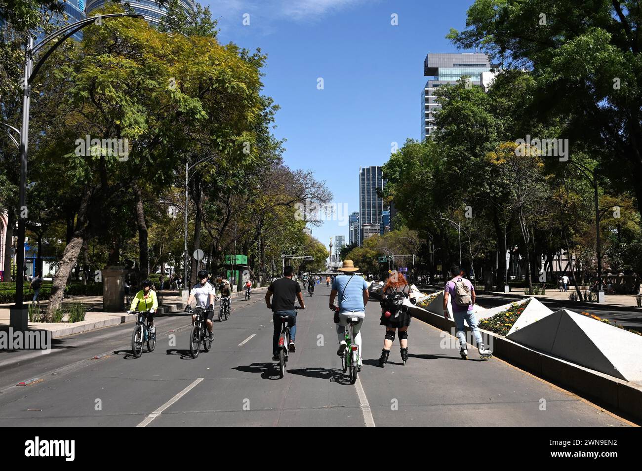 Cycling on the Avenida de la Reforma, Colonia Centro, Mexico City ...