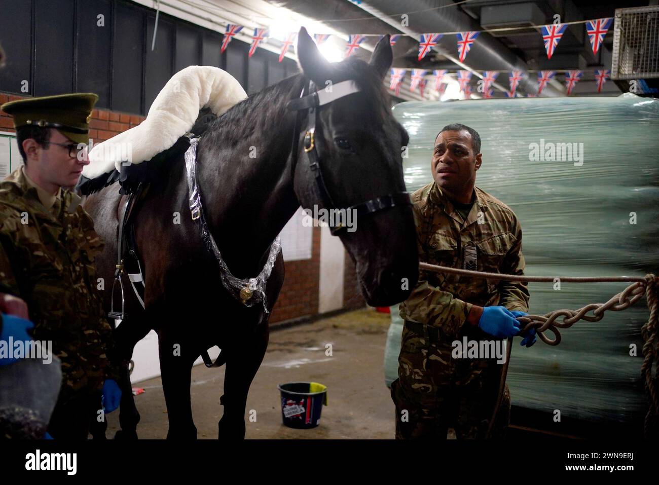 Members of the Life Guards, a cavalry regiment of the British Army and part of the Household Cavalry, prepare a horse, prior to judging during the the Princess Elizabeth Cup, the annual cup for the best turned out troopers, at Hyde Park Barracks in London. The winners go on to meet King Charles III at the Royal Windsor Horse Show in May when the overall winner is presented with the cup. Picture date: Friday March 1, 2024. Stock Photo