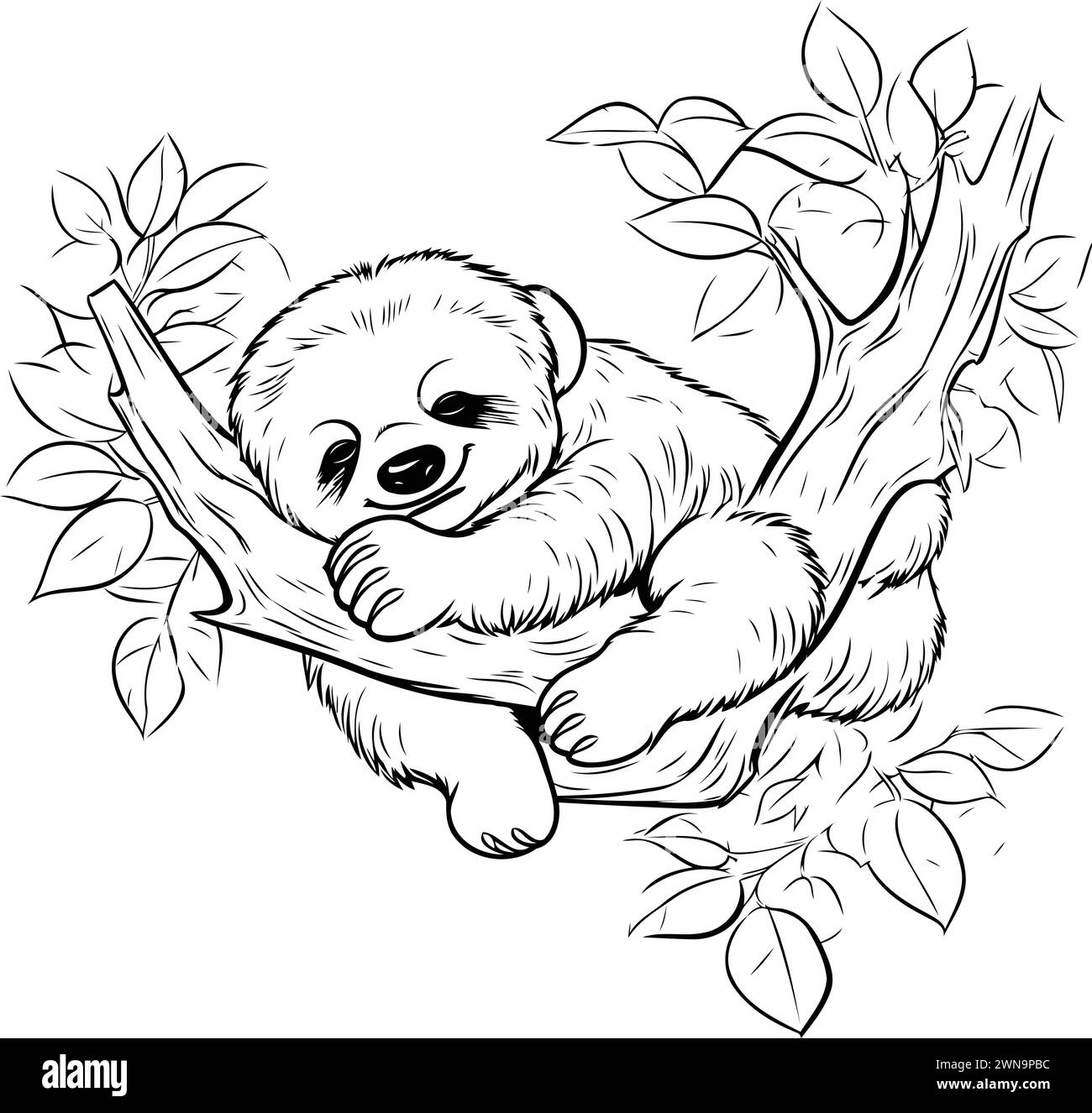 Sleeping sloth on a tree branch. Vector illustration Stock Vector Image