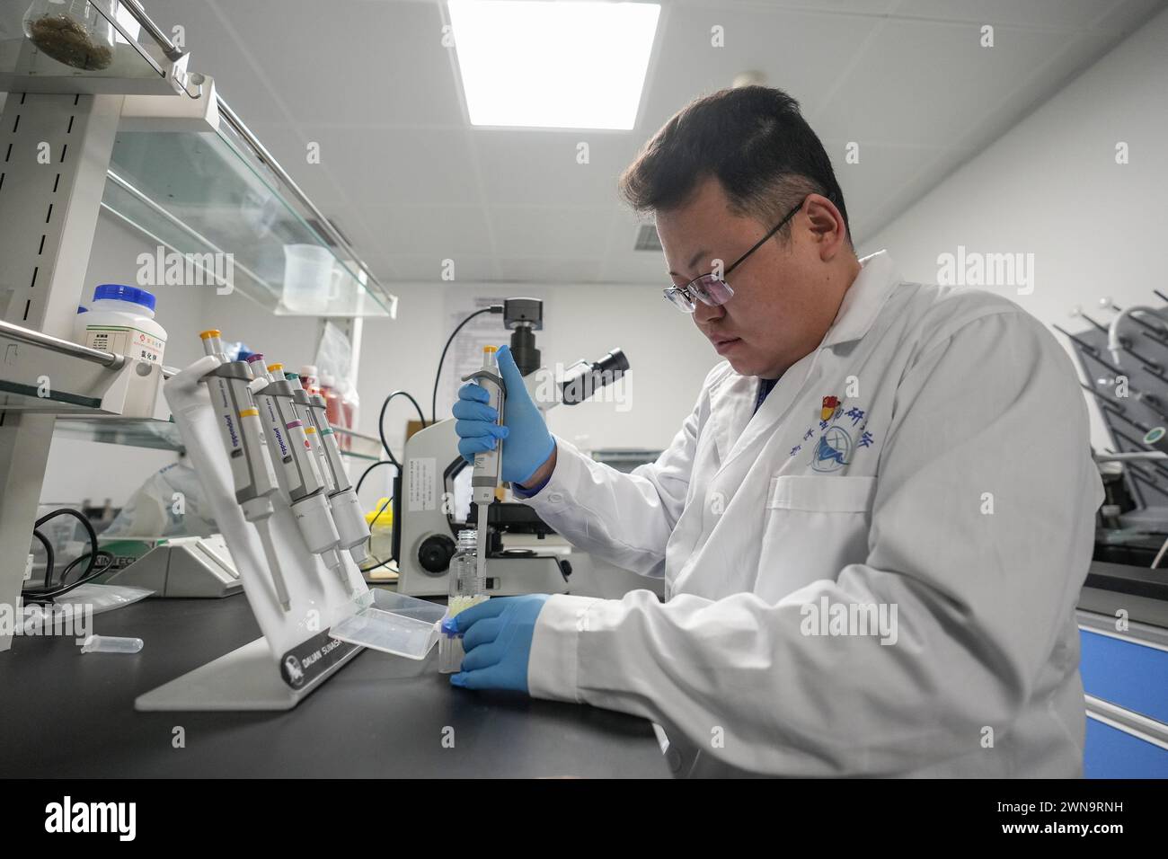 (240301) -- DALIAN, March 1, 2024 (Xinhua) -- Dr. Luo Jun tests sea water samples at Dalian Sunasia Marine Biology Institute in Dalian, northeast China's Liaoning Province, Feb. 28, 2024. Between November and March in the coming year is the breeding season for spotted seals, and it is also the busiest time for Dr. Luo Jun's team at the Dalian Sunasia Marine Biology Institute. 'Every year, our institute breeds around 10 spotted seal pups,' says Dr. Luo. During this period, Dr. Luo and his team members will test the dung for both seal mothers and pups, examine water samples, record the grow Stock Photo