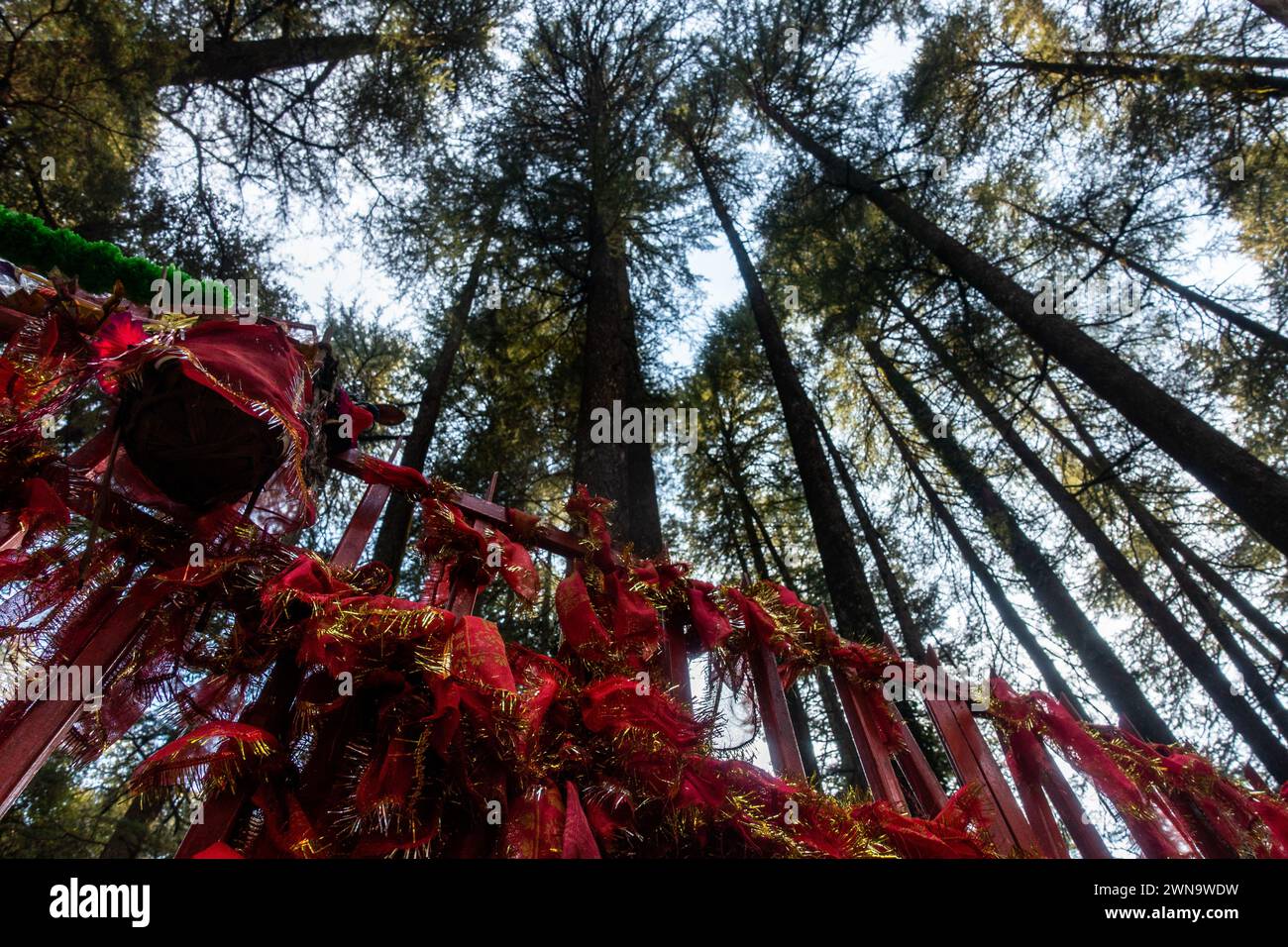 Serene Deodar Forest & Hindu Temple: Tarkeshar Mahdev, Uttarakhand ...