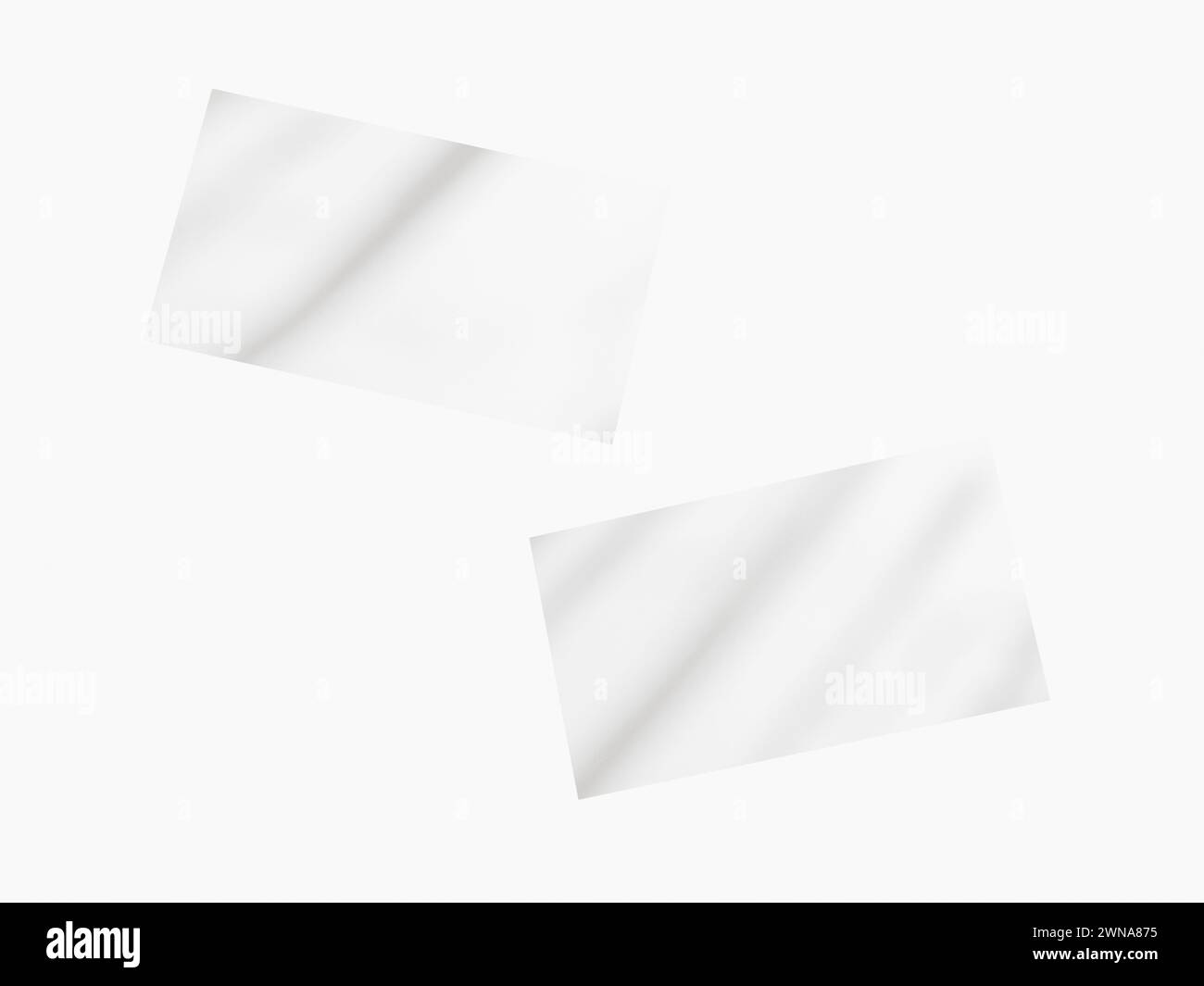 7405+ Mockup Background Psd