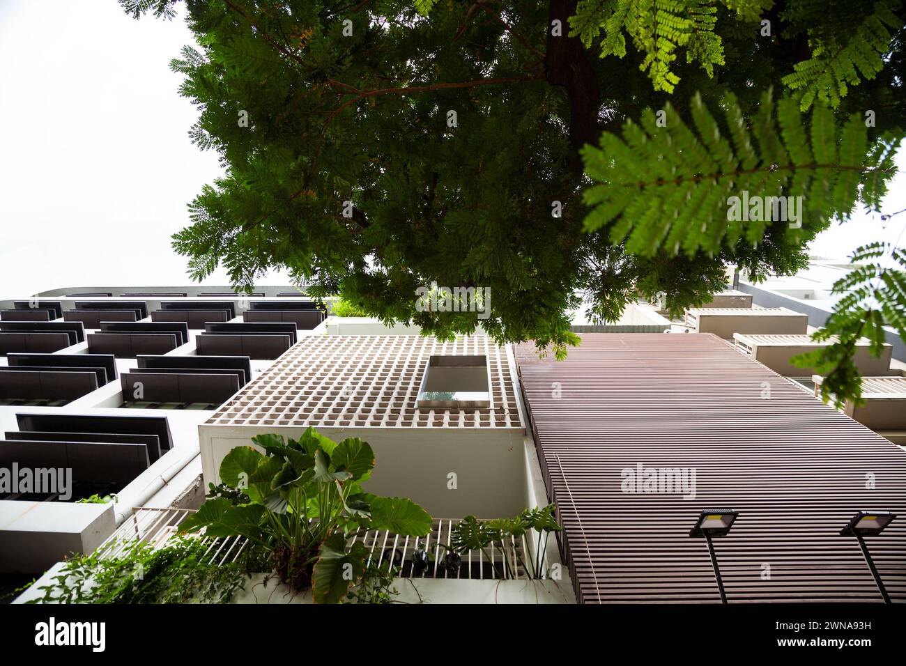 Bottom view of a modern building facade. Contemporary architecture and green plants on a city street - Stock Image