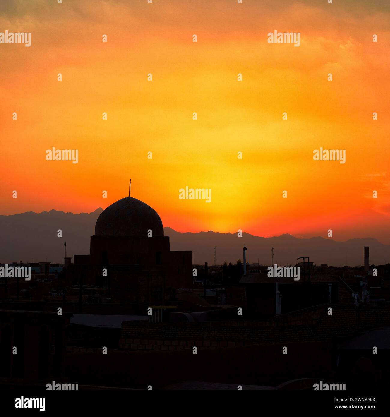 Vivid orange color hi-res stock photography and images - Alamy