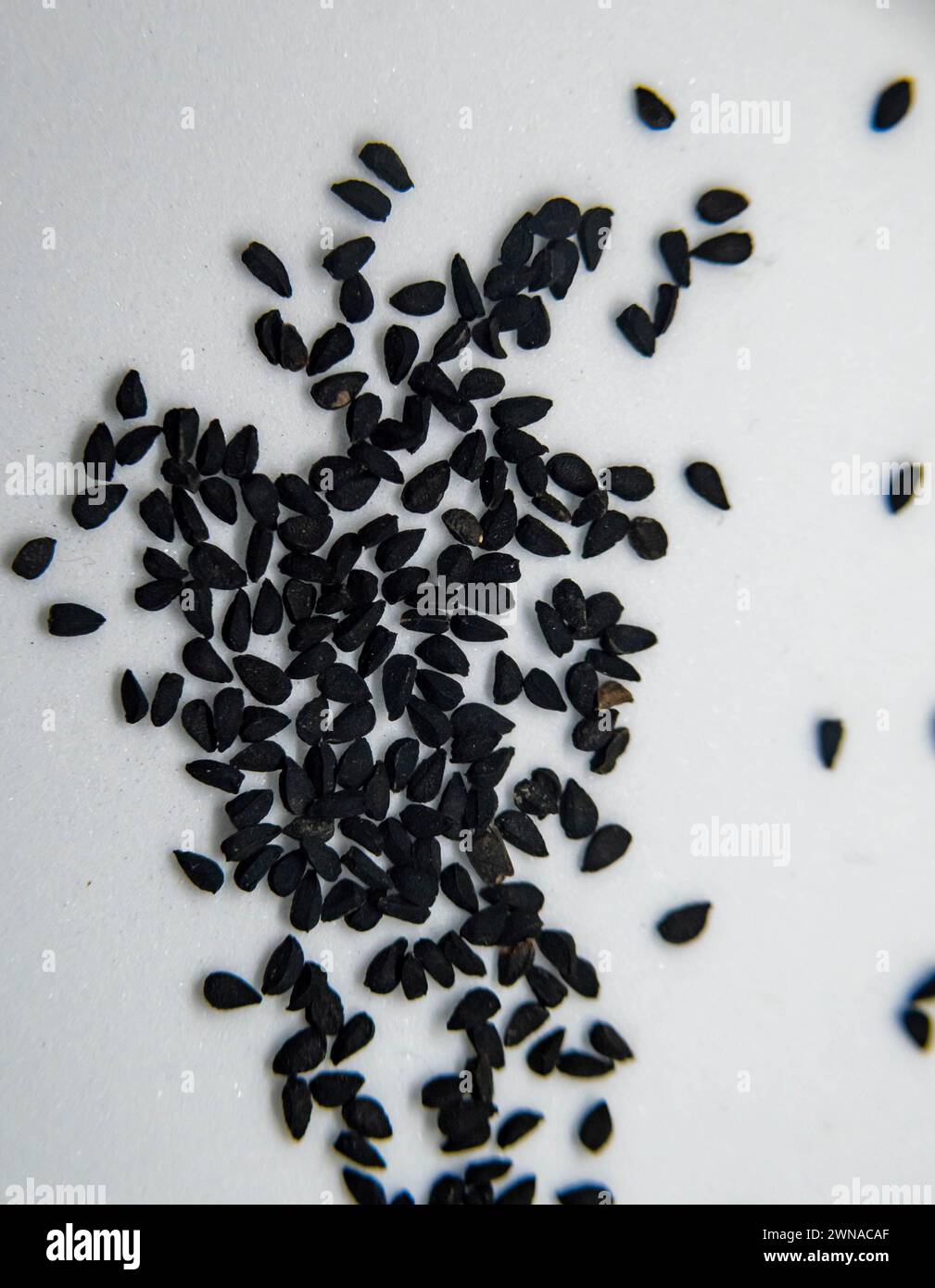 Kalonji seeds have been used in herbal medicine for a thousand years to treat a variety of diseases and conditions, including diabetes and arthritis Stock Photo
