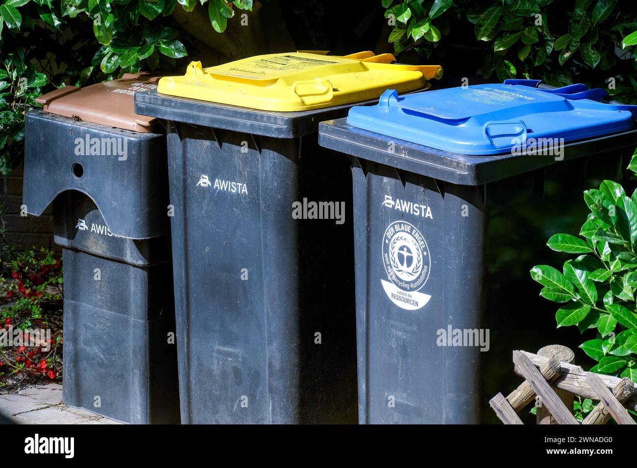 Düsseldorf 01.03.2024 gelbe Tonne Mülltonne Kunststoff Plastik Recycling Müll Abfall Wohlstandsmüll Wohlstandsgesellschaft Verpackung Verpackungsmüll Altpapier Zeitungspapier Papier Papiertonne Plastiktonne blaue braune Tonne Biomüll Bio-Müll Biotonne Lebensmittelreste Düsseldorf Nordrhein-Westfalen Deutschland *** Düsseldorf 01 03 2024 yellow garbage can waste garbage can plastic plastic recycling waste waste affluent waste affluent society packaging packaging waste waste paper newsprint paper paper garbage can plastic garbage can blue brown garbage can organic waste organic waste food waste Stock Photo