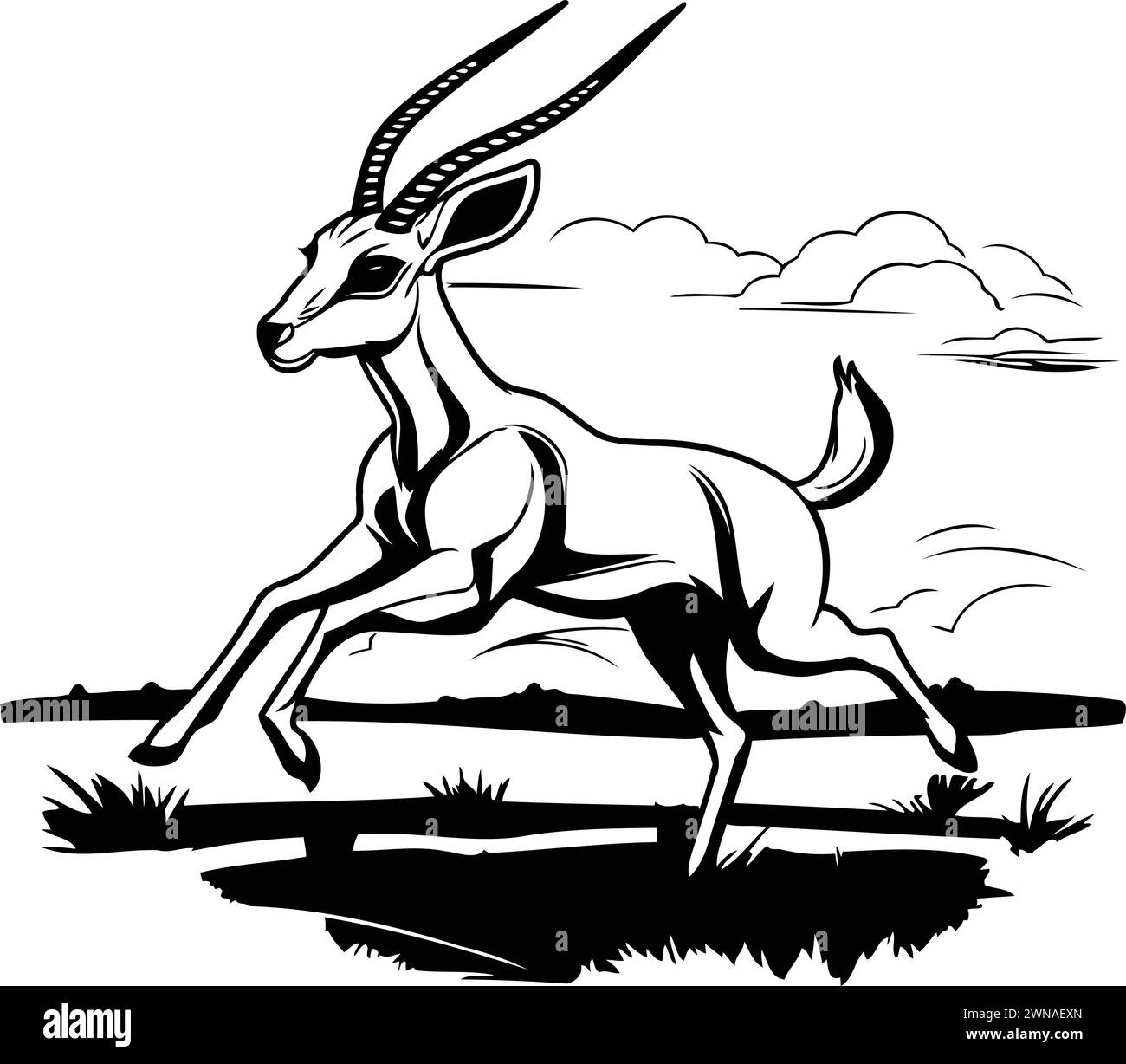 Antelope running cartoon hi-res stock photography and images - Alamy