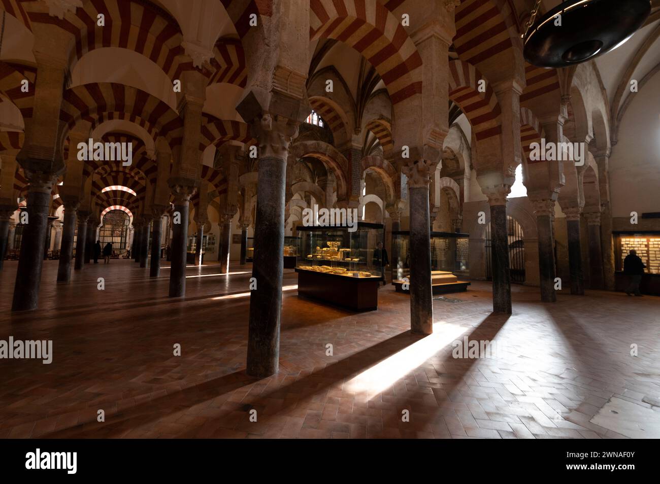 Mosque/ Cathedral of Cordoba  Some of the glass cases with a display of exhibits under the high arch ceilings supporting a huge roof by 853 thick marble Stock Photo
