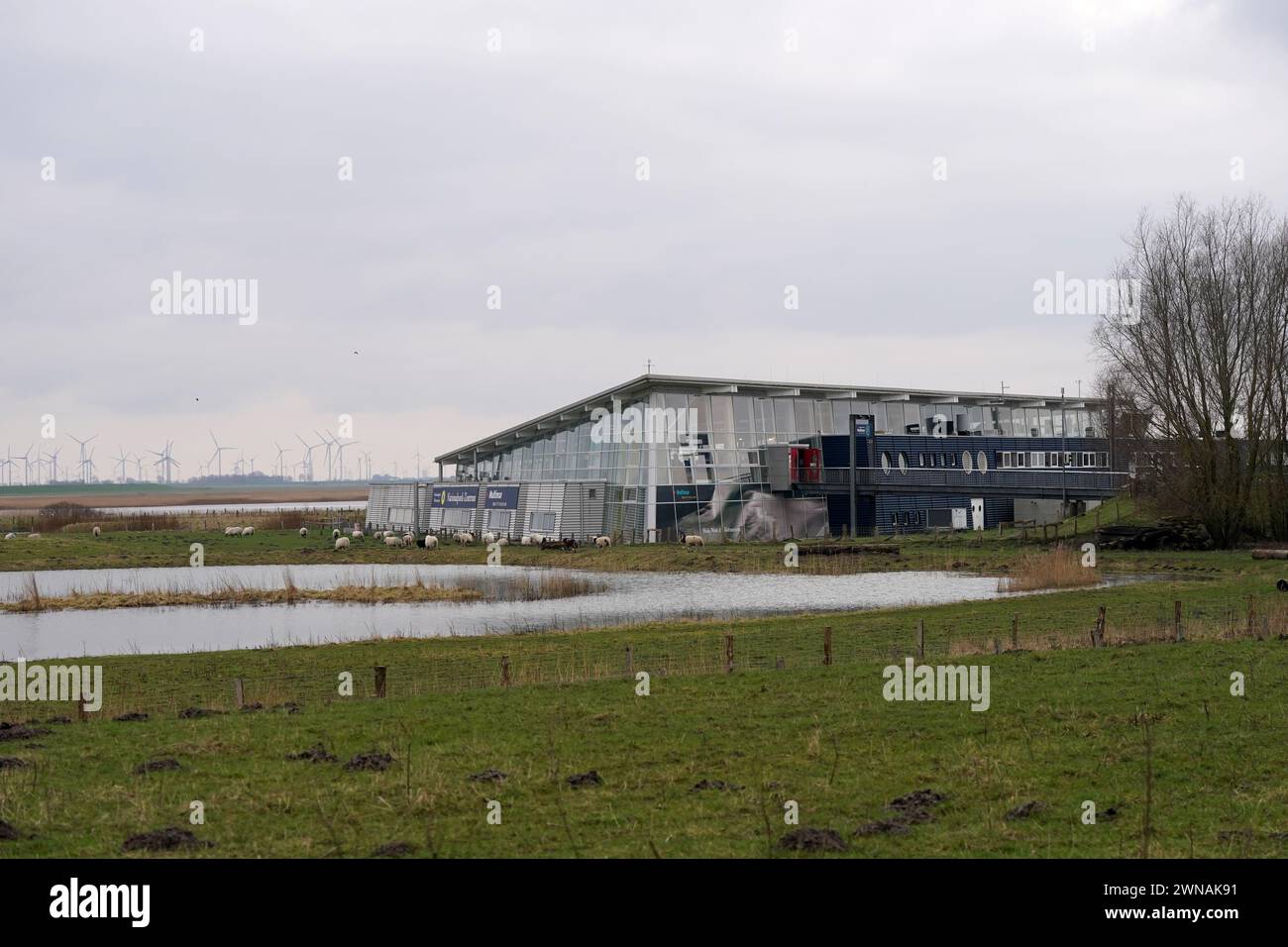 26 February 2024, Schleswig-Holstein, Tönning: View of the Multimar ...
