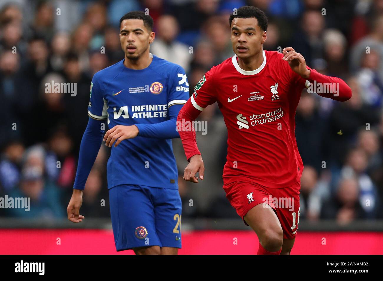 Cody Gakpo of Liverpool and Levi Colwill of Chelsea - Chelsea v Liverpool, Carabao Cup Final, Wembley Stadium, London, UK - 25th February 2024 Editorial Use Only - DataCo restrictions apply Stock Photo