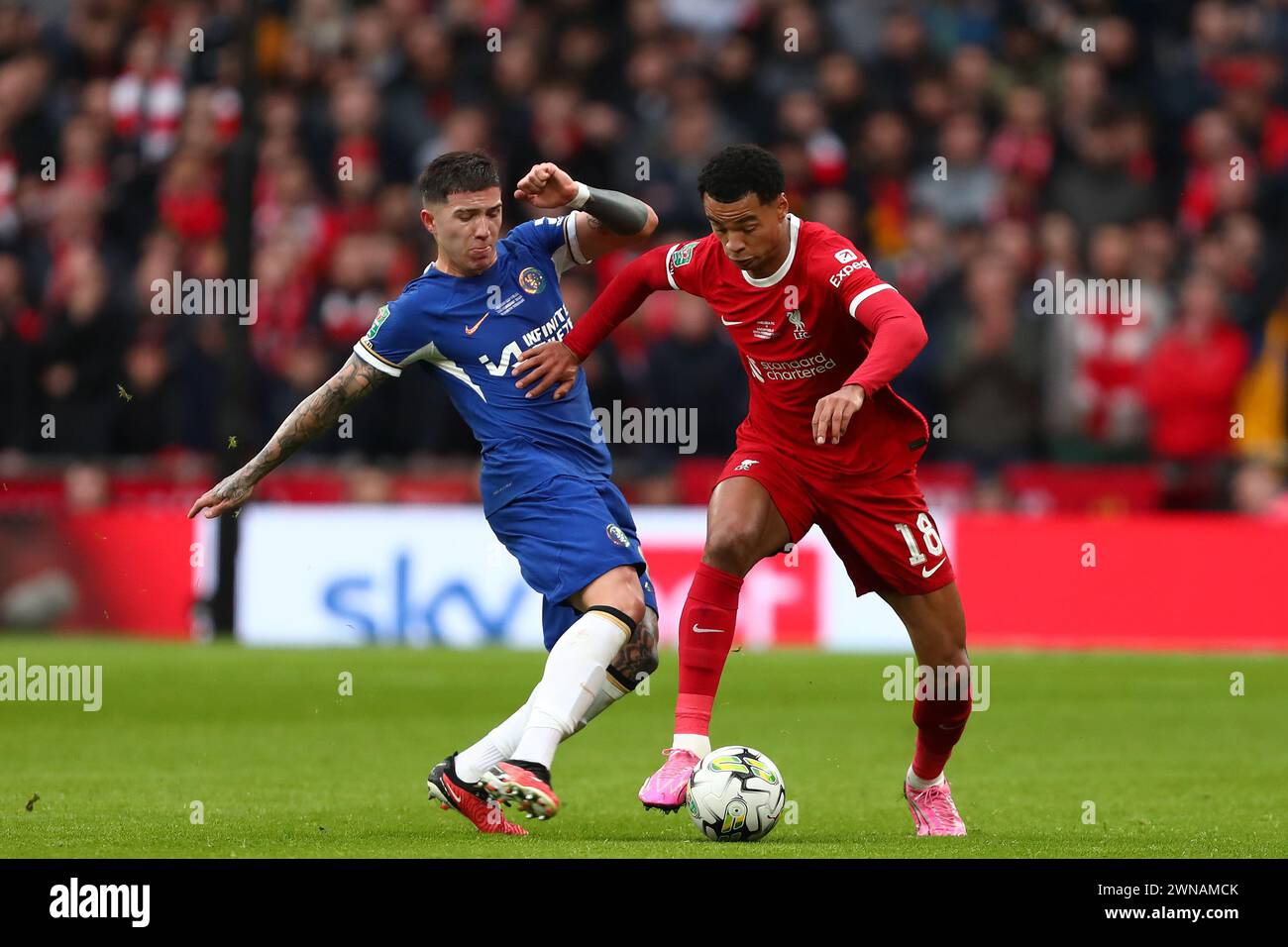 Enzo Fernandez of Chelsea and Cody Gakpo of Liverpool - Chelsea v Liverpool, Carabao Cup Final, Wembley Stadium, London, UK - 25th February 2024 Editorial Use Only - DataCo restrictions apply Stock Photo